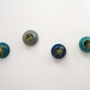 May include: Four ceramic planters in different shades of blue and green, each with a small air plant growing inside. The planters are mounted on a white wall.