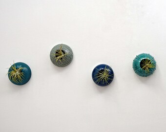 Set of four wall-mounted ceramic tillandsia air plants, Sea Creatures mix, home decor (plant not included).