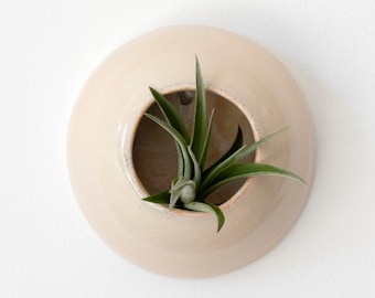 Sand-colored wall-mounted ceramic pot for tillandsia, Sea Creature Medusa model, home decor (plant not included)