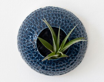 Home decor Blue Ceramic Wall Vase for Aerial Plant Display for Tillandsia to Hang Sea Creature Coral (No Plant)