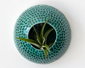 Air Plant Pot Home Decor Aqua Green Wall Hanging for Tillandsia Ceramic Sea Creature Coral (Plant Not Included) Made to Order