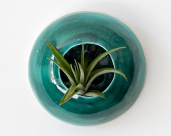 Aerial plants pot home décor teal to hang on the wall for tillandsia ceramic Sea Creature model Medusa (plant not included)