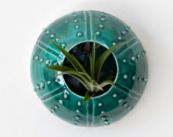 Aerial plants pot home décor teal to hang on the wall for ceramic tillandsia Sea Creature Riccio(plant not included)