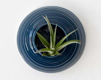 Home decor blue ceramic wall hanging air plant pot for tillandsia Sea Creature Paguro (plant not included)