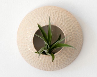 Vase pour tillandsia sable à accrocher au mur décoration intérieure céramique pour tillandsia Sea Creature modèle Corail (plante non incluse)