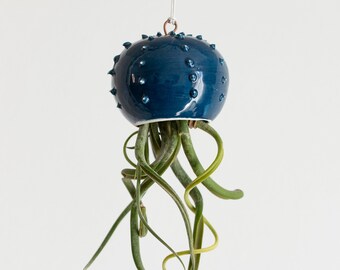 Cactopus small cactus-shaped tillandsia pot for blue ceramic aerial plants (plant not included)