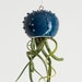 see more listings in the Cactopus hanging pots section