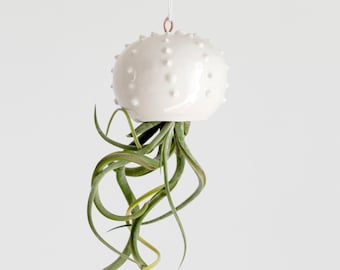Glossy white ceramic cactus for air plants, small hanging pot for tillandsia