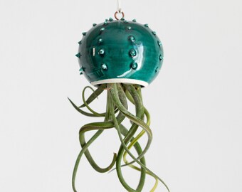 Small ceramic hanging pot home decor for tillandsia cactopus air plant pot in teal (plant not included)