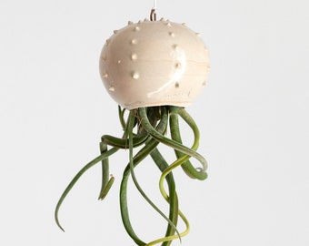 Cactopus Hanging Pot for Tillandsia Air Plants, Natural Sand Color (Plant Not Included) - Cactopus Natural Edition