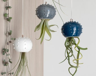 Choose your Hanging Cactopus for Air Plants Small Hanging Pot for Tillandsia Hanging Decoration for Air Plants
