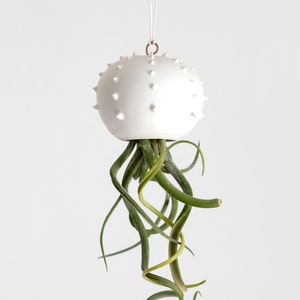 Matwitte keramische cactus voor Tillandsia kleine hangende cactusvormige luchtplantpot (zaailing niet inbegrepen)