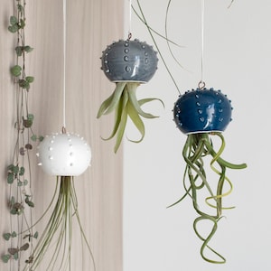 Choose your hanging Cactopus for air plants small hanging pot for tillandsia hanging decoration for air plants image 1