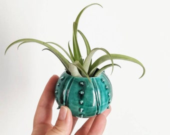 Small teal sea urchin ceramic vase, small ceramic aerial plant pot, small favor idea vase