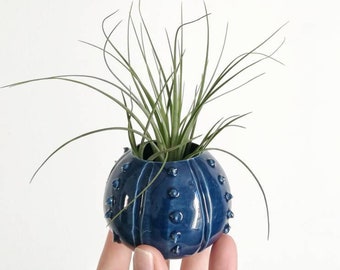 Small blue ceramic vase with a sea urchin design, small ceramic air plant vase, small vase with a wedding favor idea
