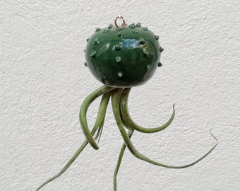 Tillandsia Cactopus cactus-shaped pot carrying dark green ceramic aerial plants (seedling not included)