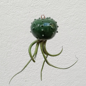 Tillandsia Cactopus Cactusvormige luchtplantenpot in donkergroen keramiek (zaailing niet inbegrepen)