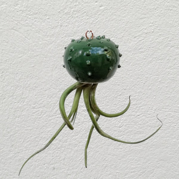 Tillandsia Cactopus em forma de cacto vaso de planta de ar em cerâmica verde escuro (mudas não incluídas)