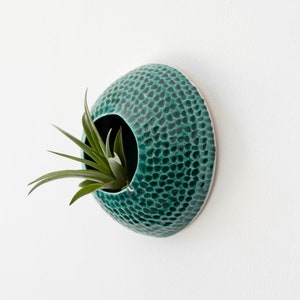 Vase aerial plants home décor teal hang on the wall for tillandsia ceramic Sea Creature Coralplant not included made to order image 2