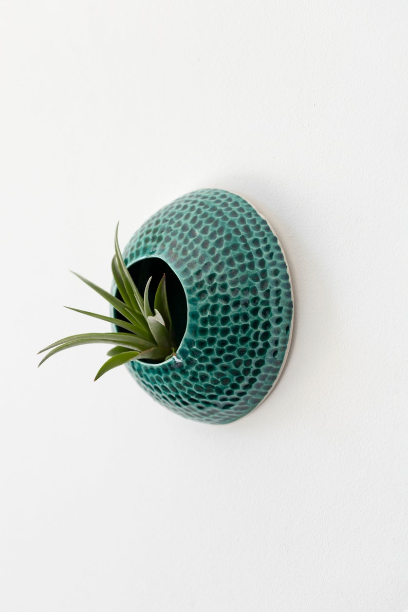 Vase aerial plants home décor teal hang on the wall for tillandsia ceramic Sea Creature Coralplant not included made to order image 2