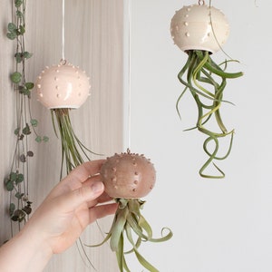 Choose your hanging Cactopus for air plants small hanging pot for tillandsia hanging decoration for air plants image 3