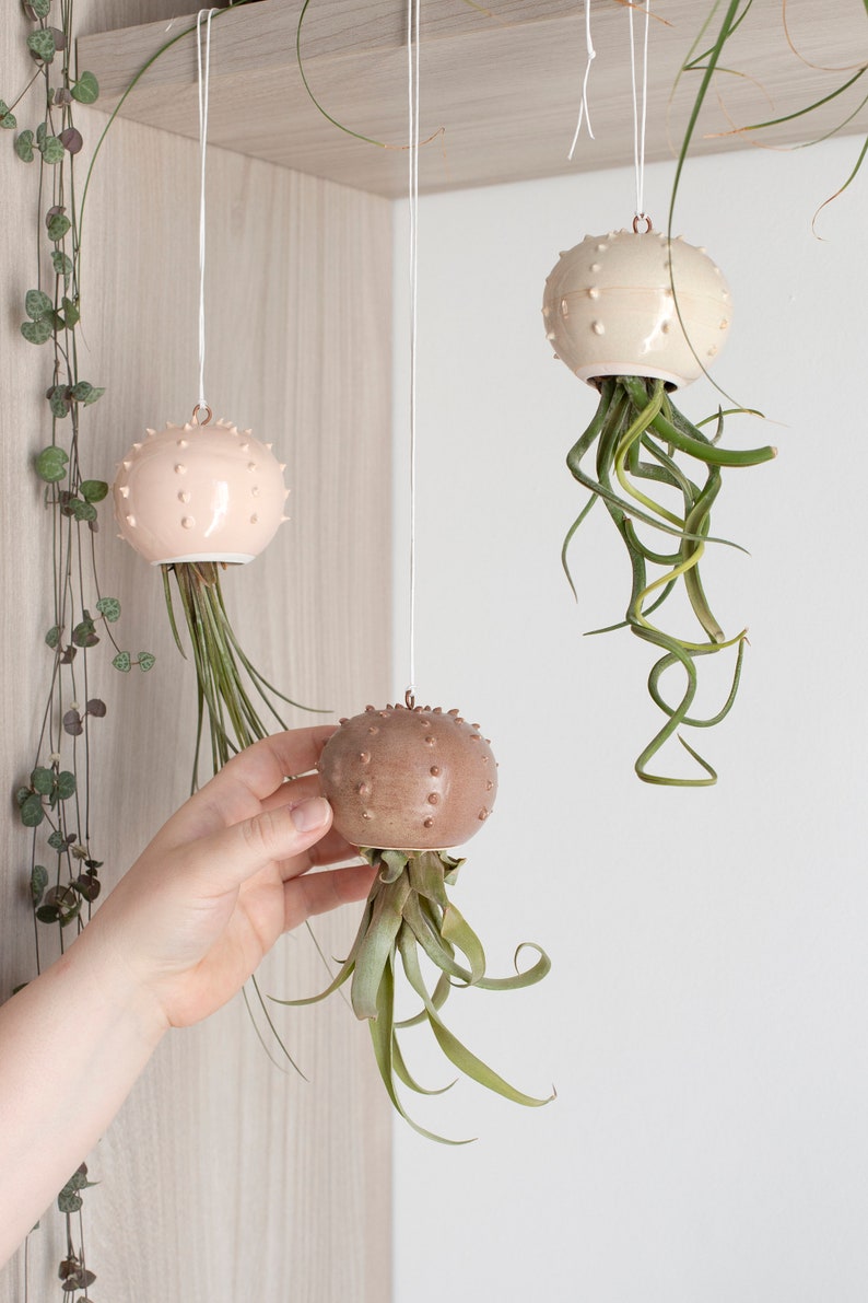 Choose your hanging Cactopus for air plants small hanging pot for tillandsia hanging decoration for air plants image 3