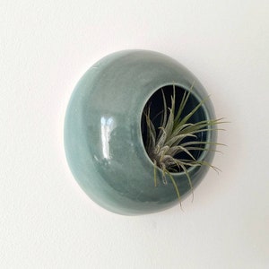 Plantes aériennes pot home décor sauge verte à accrocher au mur pour tillandsia céramique Sea Creature modèle Medusa plante non incluse image 2