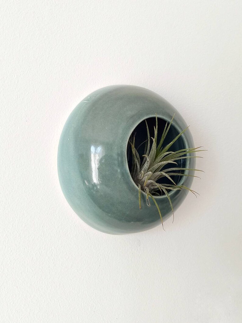 Plantes aériennes pot home décor sauge verte à accrocher au mur pour tillandsia céramique Sea Creature modèle Medusa plante non incluse image 2