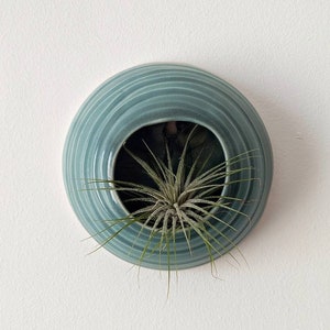 Sage Green Wall Vase Home Decor for Air Plants Wall Hanging Pot for Tillandsia Sea Creature Paguro (Plant Not Included)