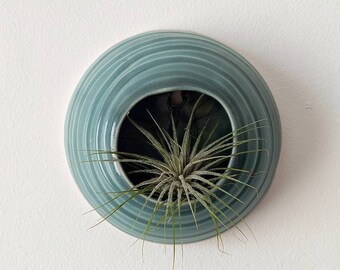 Sage Green Wall Vase Home Decor pour plantes aériennes Wall Hanging Pot pour Tillandsia Sea Creature Paguro (Plante non incluse)