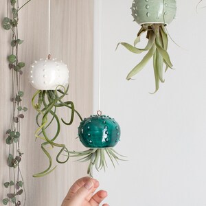 Choose your hanging Cactopus for air plants small hanging pot for tillandsia hanging decoration for air plants image 2