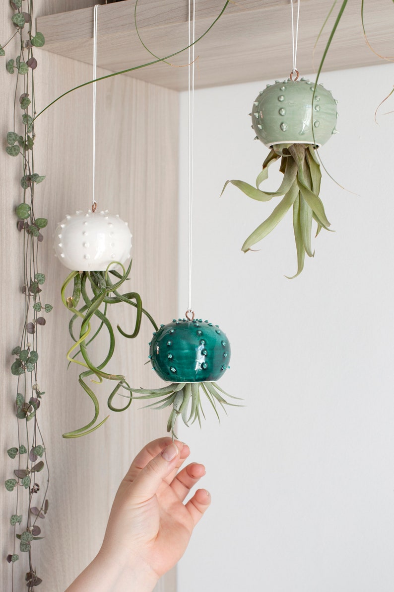 Choose your hanging Cactopus for air plants small hanging pot for tillandsia hanging decoration for air plants image 2