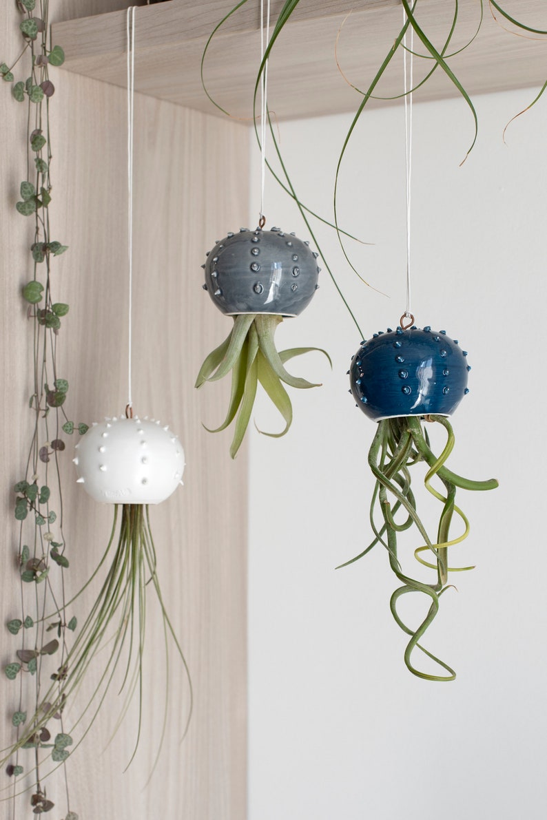 Choose your hanging Cactopus for air plants small hanging pot for tillandsia hanging decoration for air plants image 1