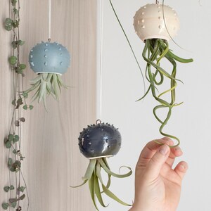 Choose your hanging Cactopus for air plants small hanging pot for tillandsia hanging decoration for air plants image 5