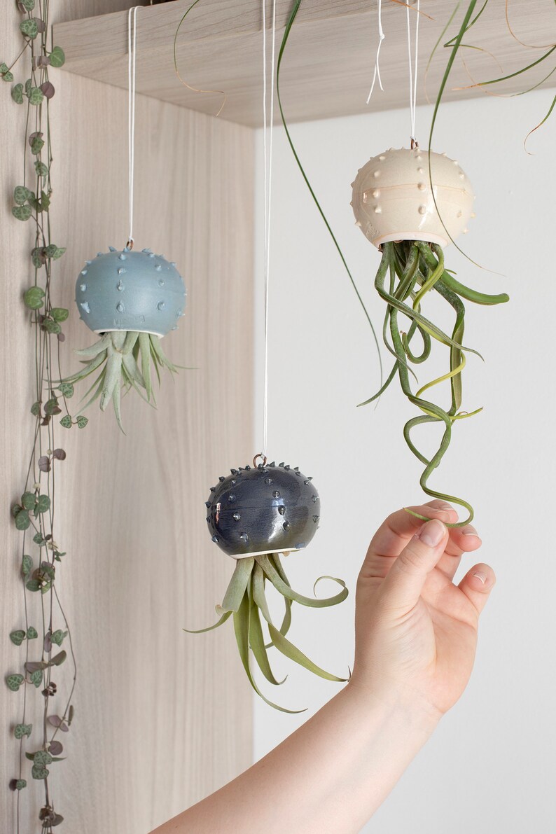 Choose your hanging Cactopus for air plants small hanging pot for tillandsia hanging decoration for air plants image 5