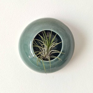 Plantes aériennes pot home décor sauge verte à accrocher au mur pour tillandsia céramique Sea Creature modèle Medusa plante non incluse image 1