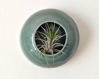 Sage green ceramic wall-mounted air plant pot for home decor, Sea Creature Medusa model, for tillandsia (plant not included)