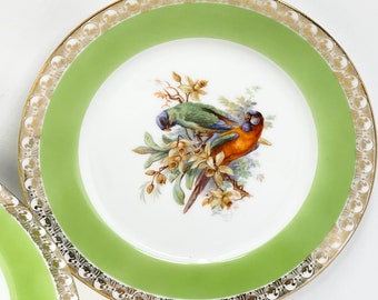 Epiag Royal Exotic Birds Czechoslovakia Green and Gold Tea / Side Plate Design 9