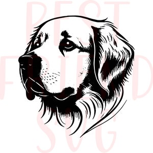 Golden Retriever SVG, Goldie, dog svg, Instant Download, png, dxf, eps, svg for Cricut, Silhouette, shirt svg, cute dog clipart, dog face