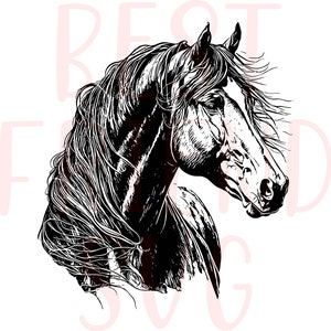 Schöne Pferd-Svg-Datei für Cricut und Silhouette, Pferd SVG, Pferd Kopf Svg, Pferd Svg Eps Dxf Png sofortiger Download, Mustang, Pferdesport