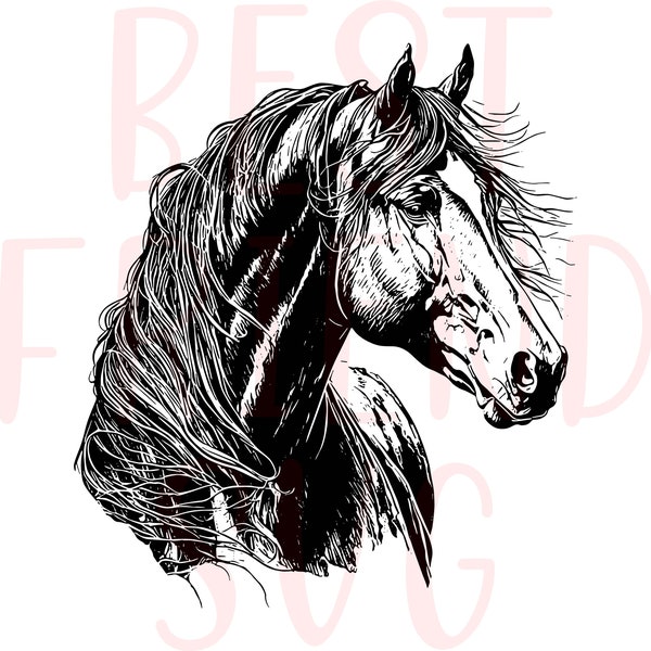 Beautiful horse svg file for cricut and silhouette, Horse SVG, Horse head svg, Horse svg eps dxf png instant download, Mustang, horse sport
