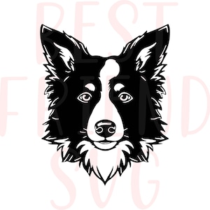 May include: Black and white silhouette of a Border Collie dog's head. The dog is looking directly at the viewer with a friendly expression.