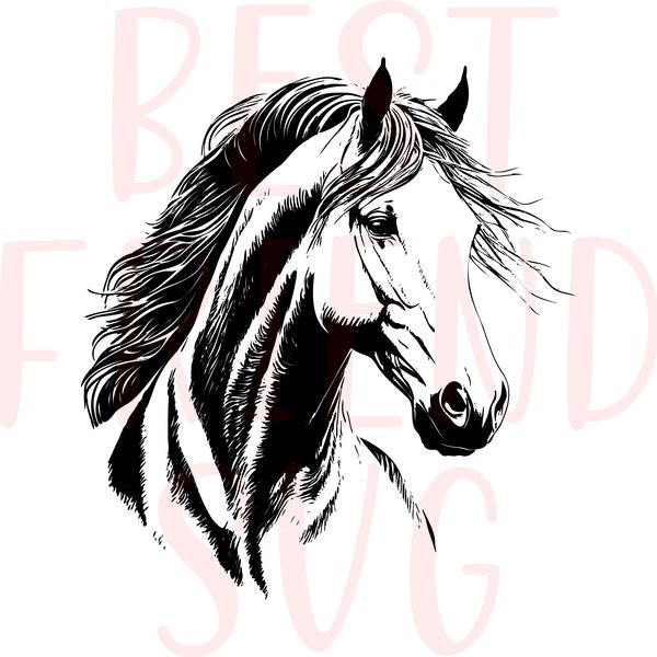 Beautiful horse svg file for cricut and silhouette, Horse SVG, Horse head svg, Horse svg eps dxf png instant download, Mustang, horse sport