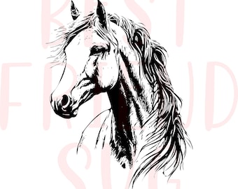Beautiful horse svg file for cricut and silhouette, Horse SVG, Horse head svg, Horse svg eps dxf png instant download, Mustang, horse sport