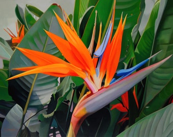 Strelitzia painting, Flower painting, Hyperrealism painting, Realism flowers,Orange, Decor, Canvas painting, Nature, 15,7 x 19,7 in