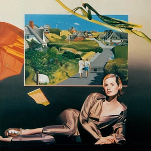 Op bestelling gemaakt olieverfschilderij, vrouwenportret, landschapskunst, certificaat