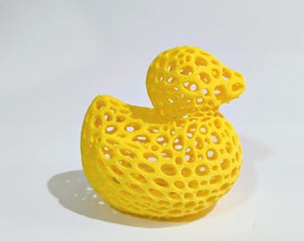 Fancy Duck