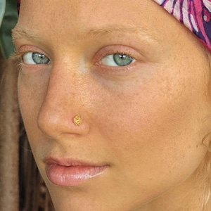 Gold Nasenstecker - kleine Nase - Tribal Nase Bolzen - Indische Nase Schmuck - Nase Piercing - Nasenloch (NG18)