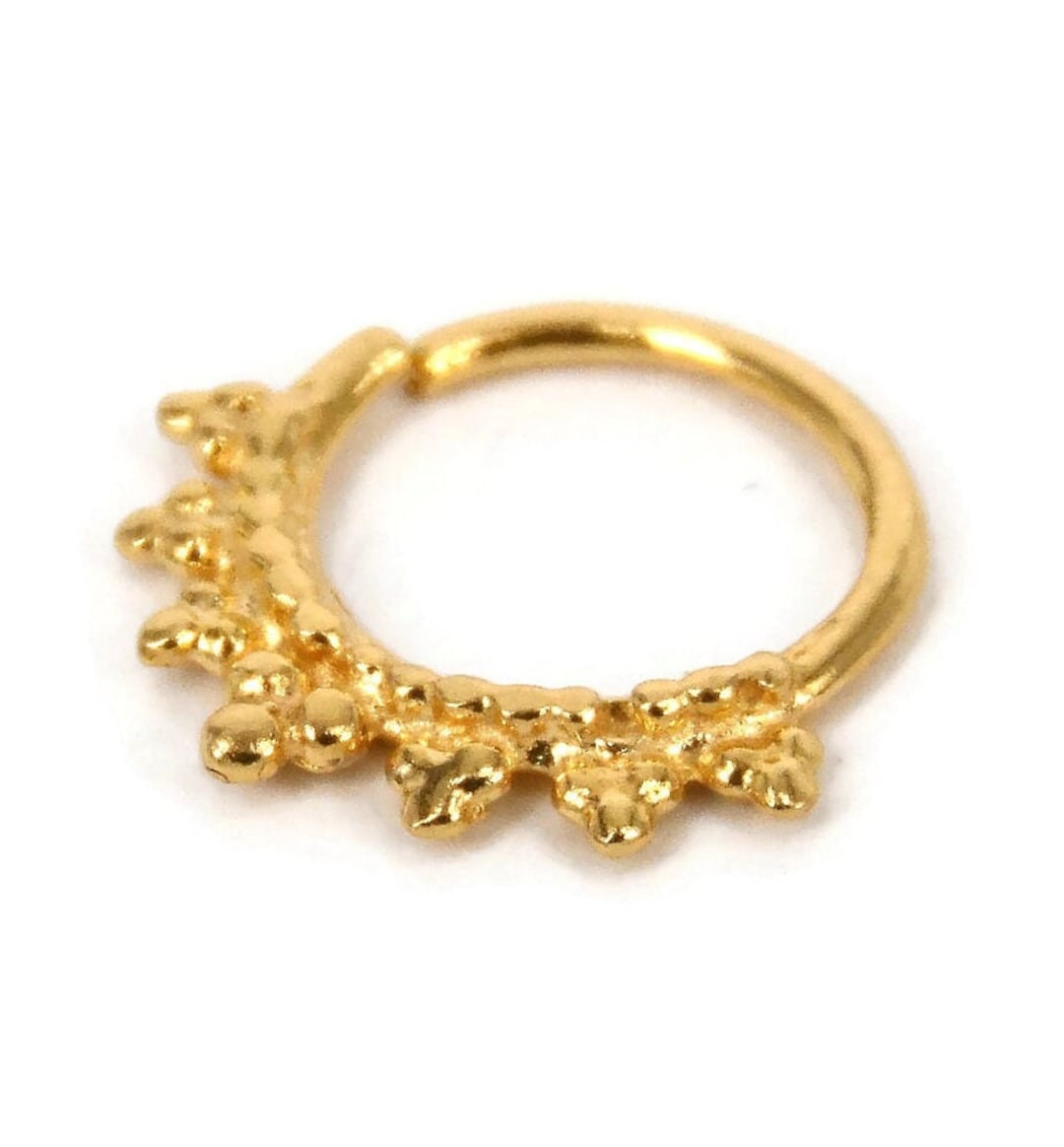 Tiyafashion Gold-plated Plated Stainless Steel Nose Ring Price in India -  Buy Tiyafashion Gold-plated Plated Stainless Steel Nose Ring Online at Best  Prices in India | Flipkart.com