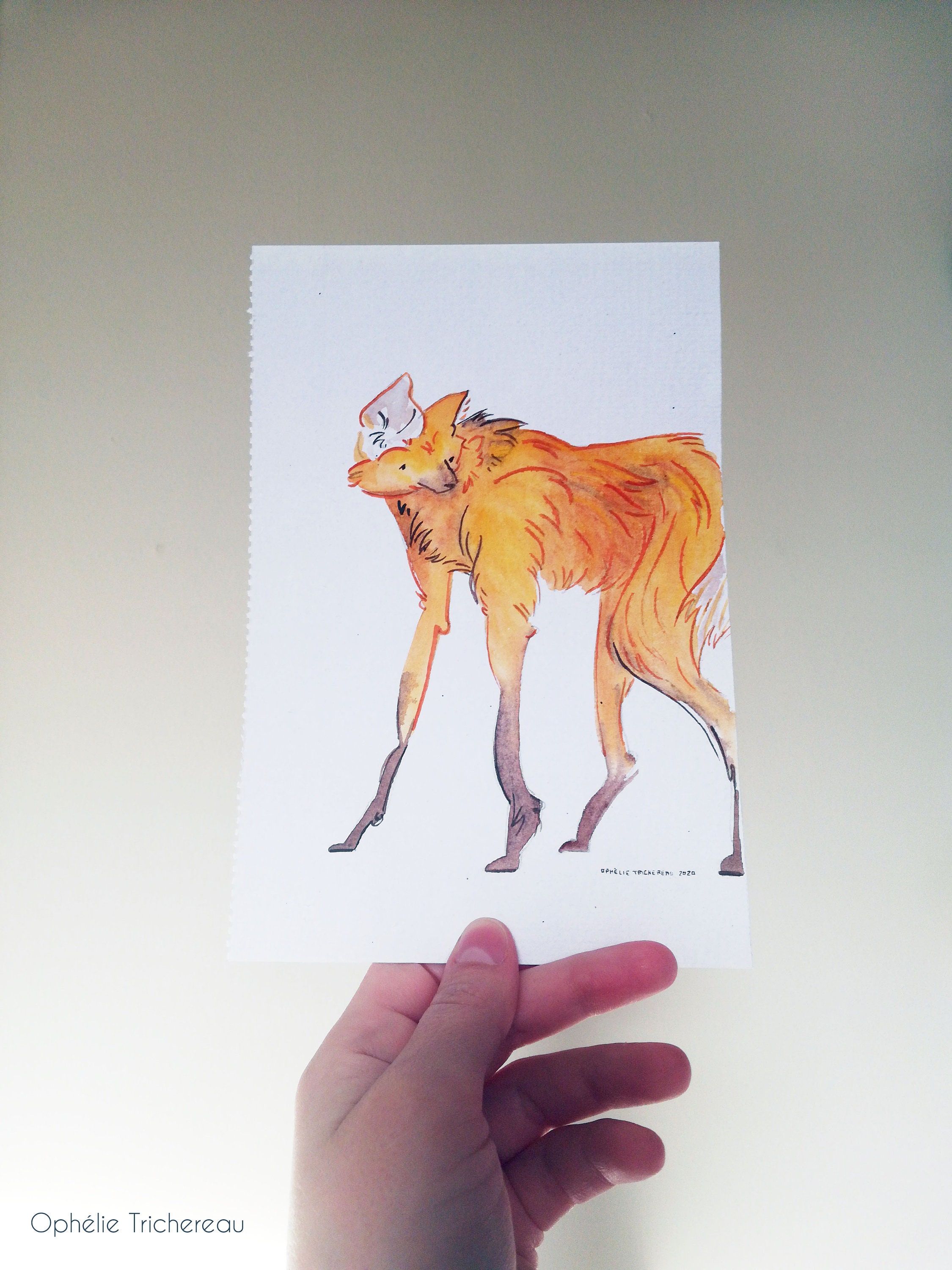 Maned Wolf Original Painting // Loup à Crinière Illustration - Etsy UK